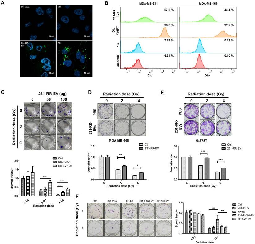 J Cancer Image