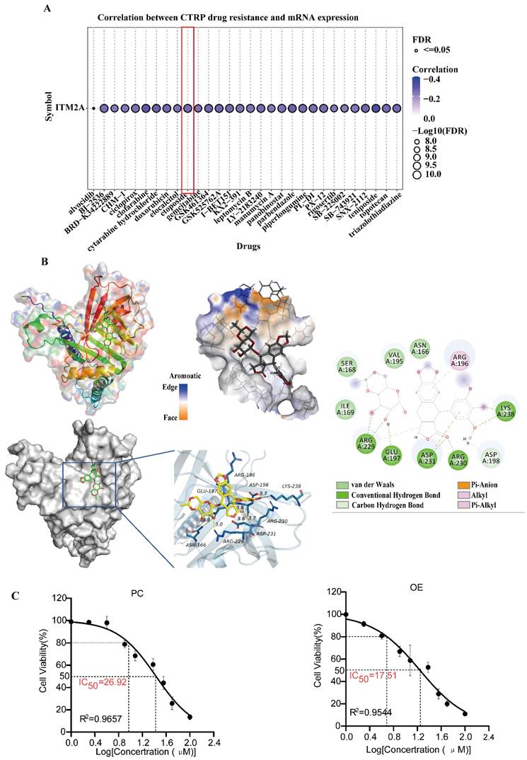 J Cancer Image