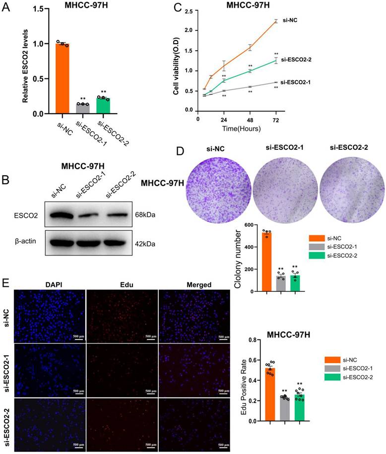 J Cancer Image