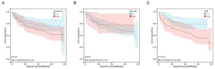 J Cancer Image