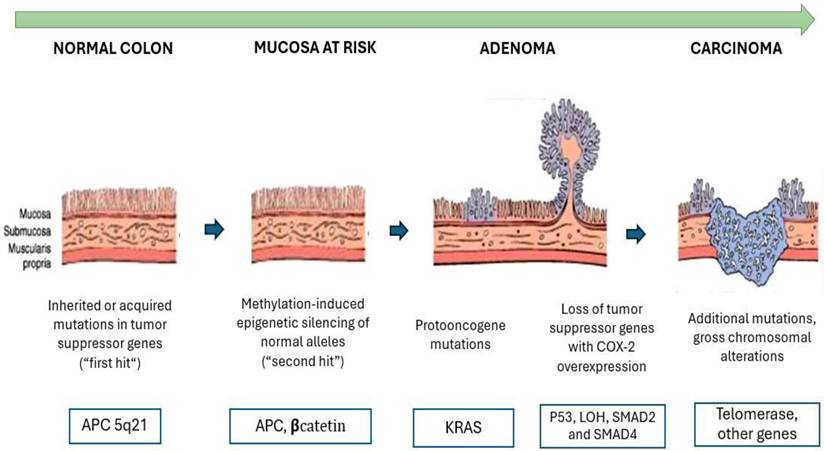 J Cancer Image