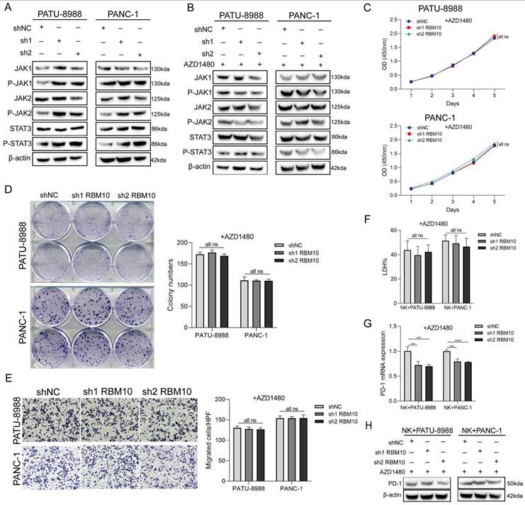 J Cancer Image