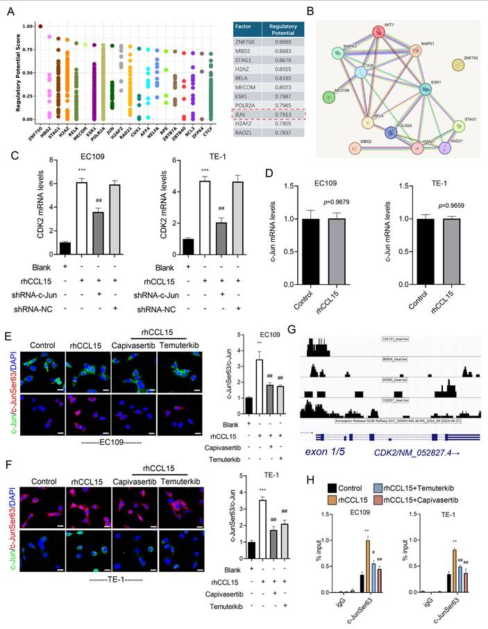 J Cancer Image