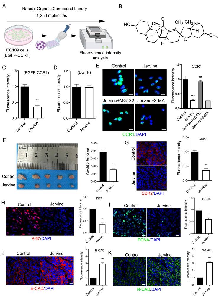 J Cancer Image