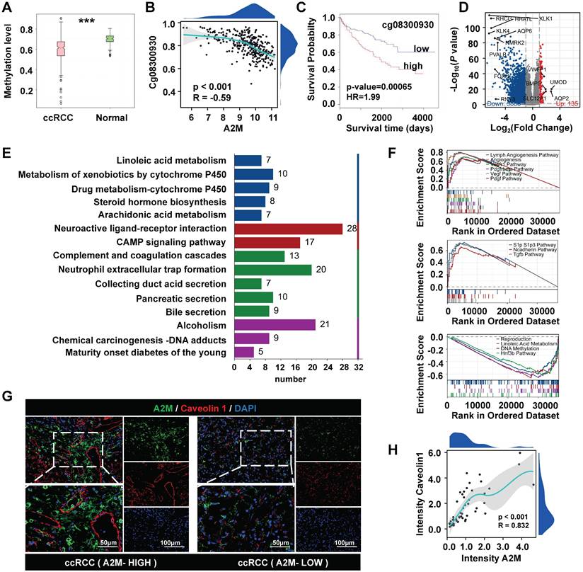 J Cancer Image