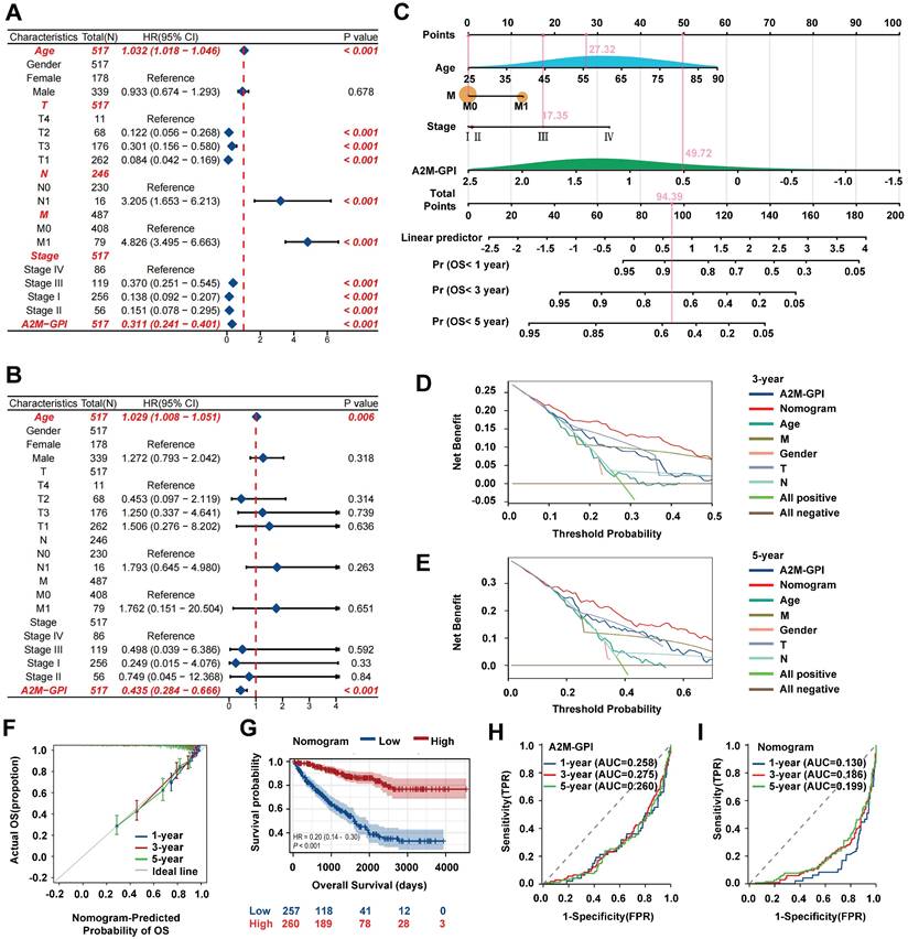J Cancer Image