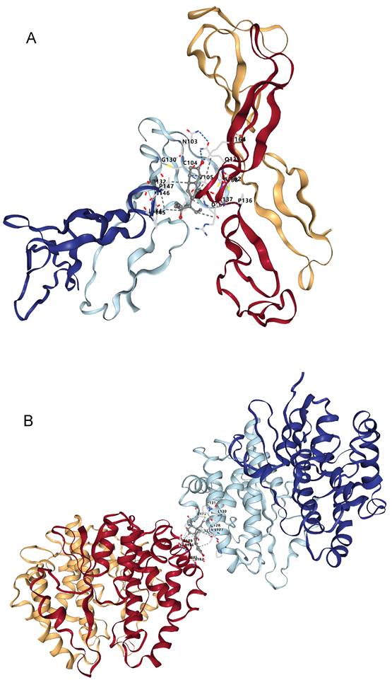 J Cancer Image