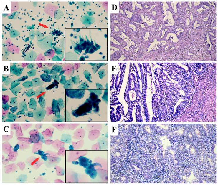 J Cancer Image