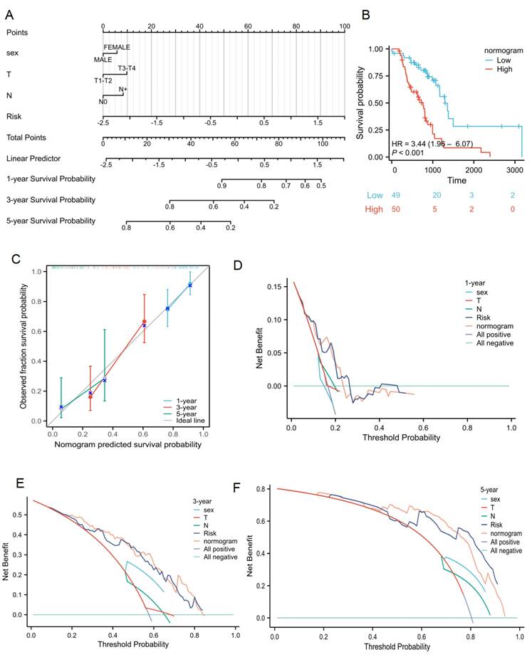 J Cancer Image