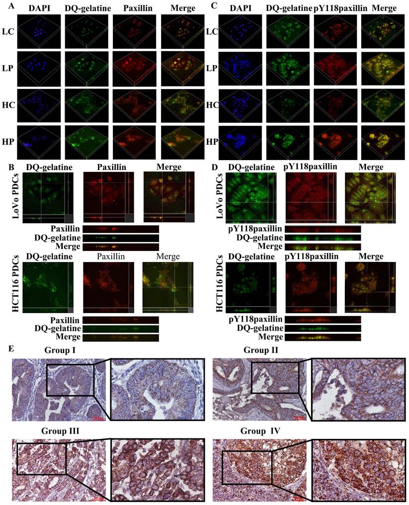 J Cancer Image