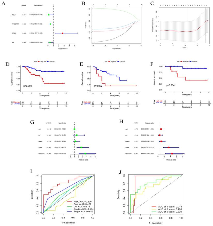 J Cancer Image