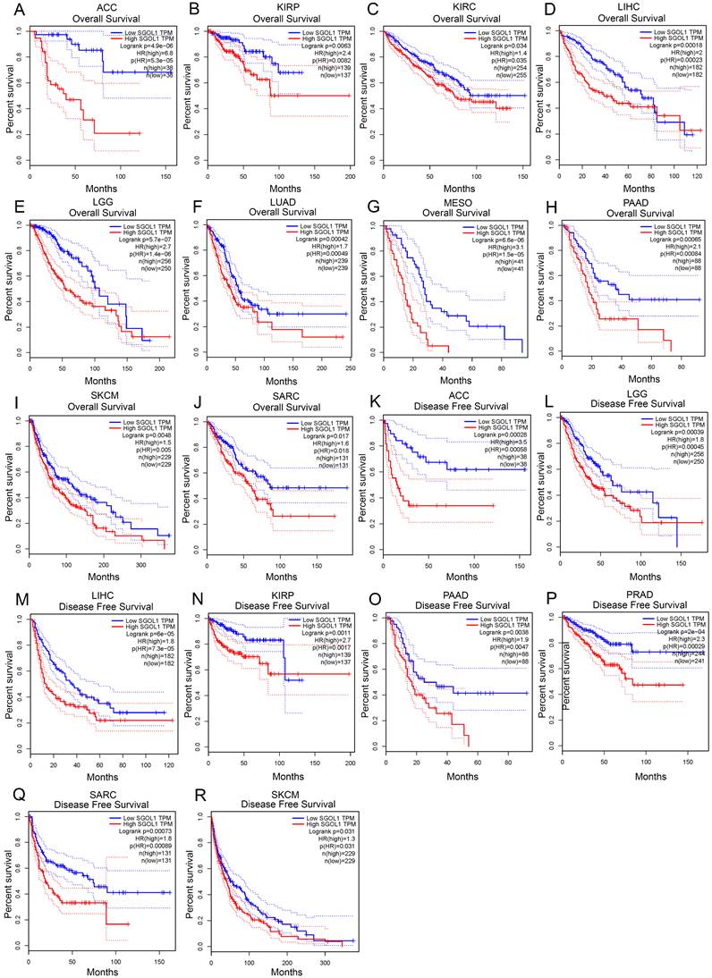 J Cancer Image
