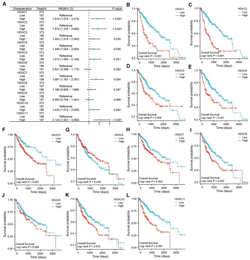 J Cancer Image