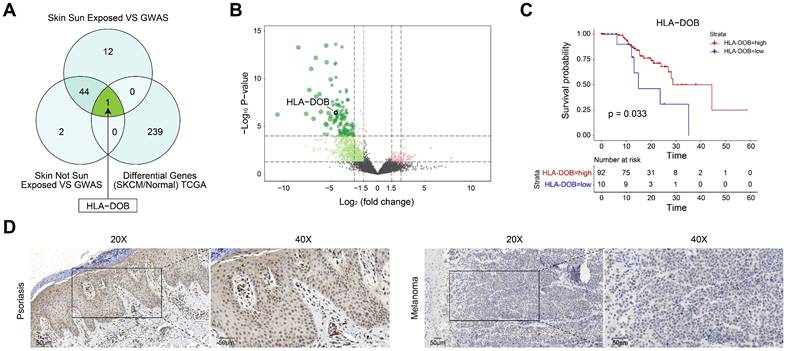 J Cancer Image