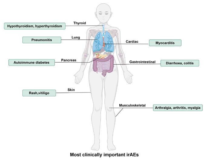 J Cancer Image