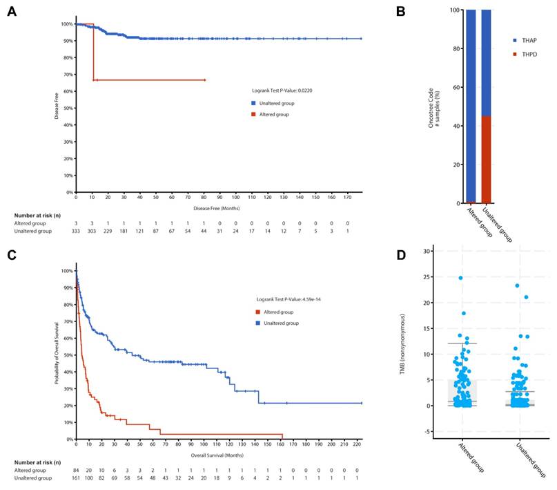 J Cancer Image