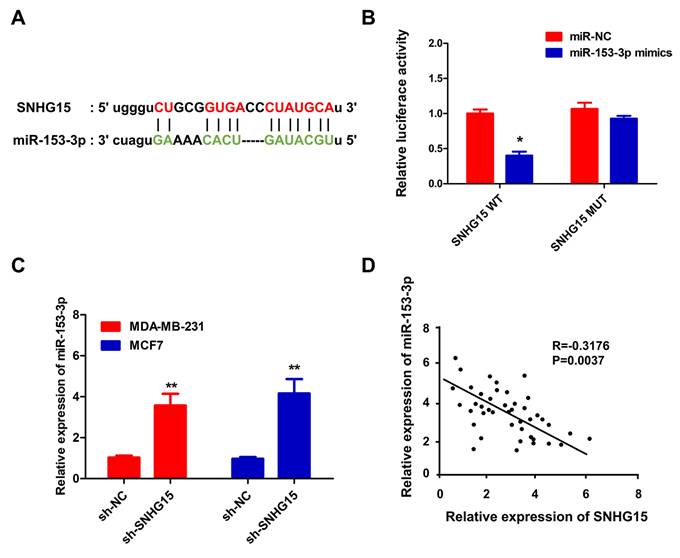 J Cancer Image