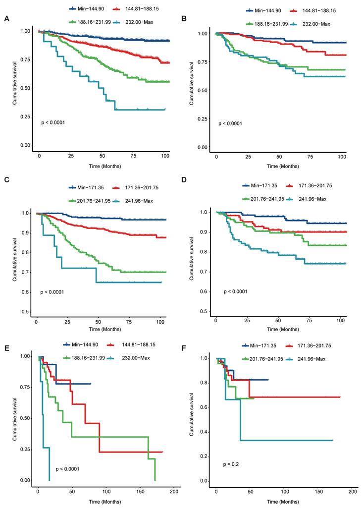 J Cancer Image