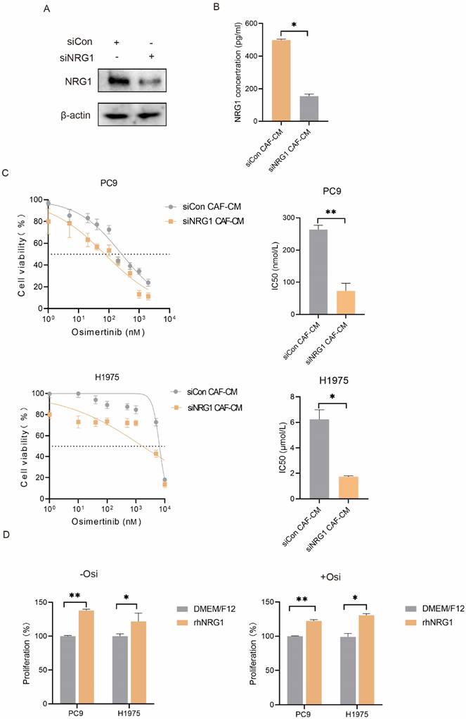 J Cancer Image