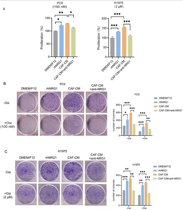 J Cancer Image