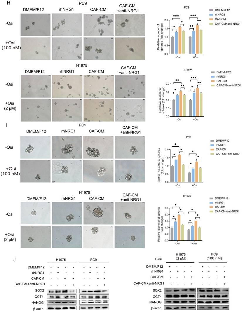 J Cancer Image