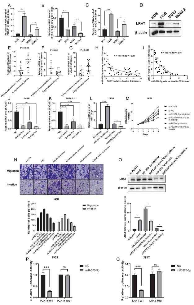 J Cancer Image