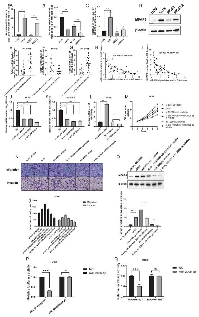 J Cancer Image