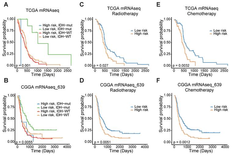 J Cancer Image