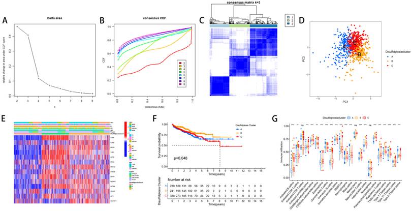 J Cancer Image