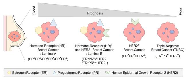 J Cancer Image
