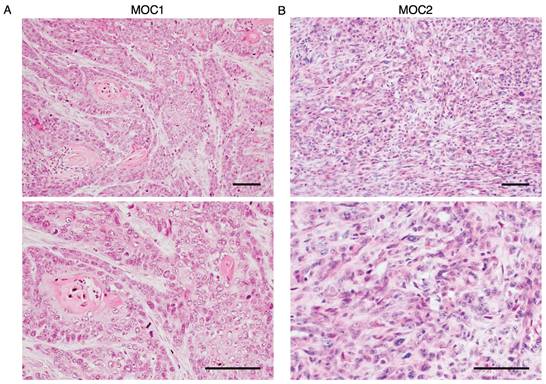 J Cancer Image