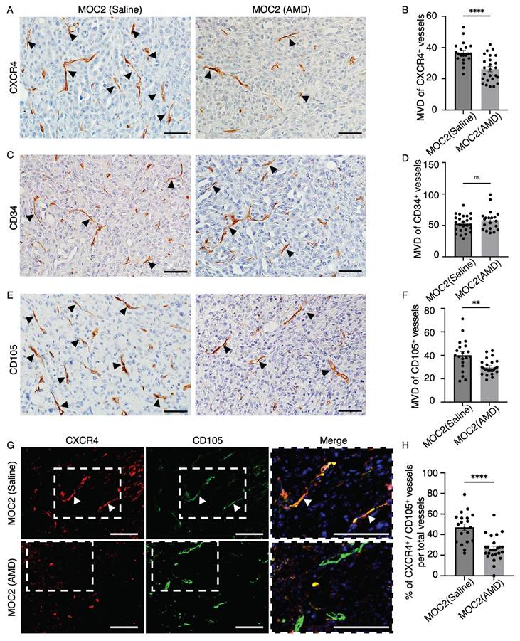 J Cancer Image