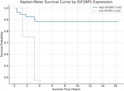 J Cancer Image