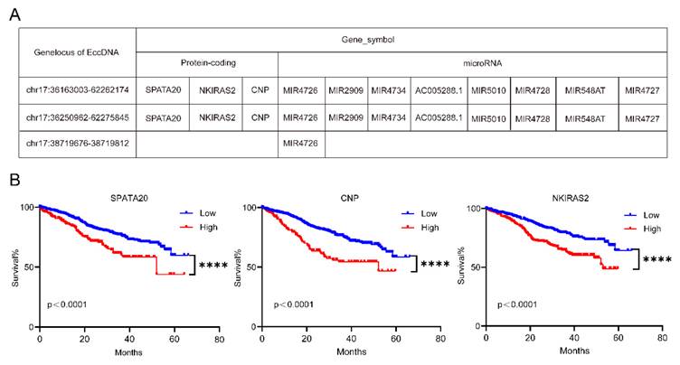 J Cancer Image
