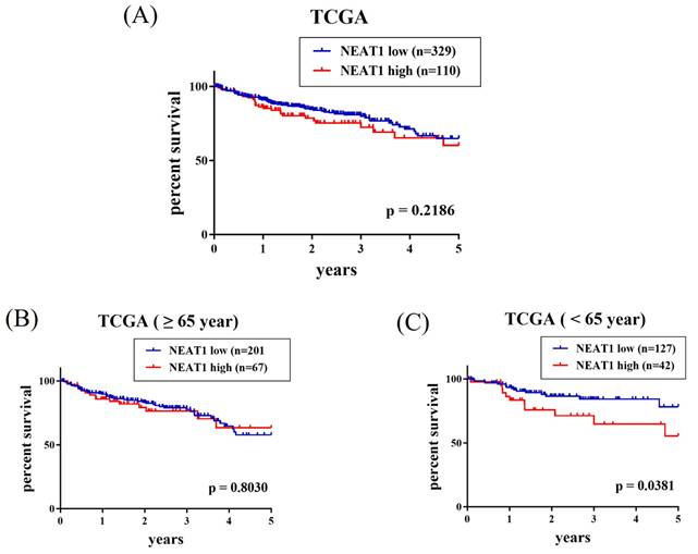J Cancer Image