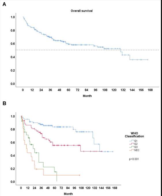 J Cancer Image