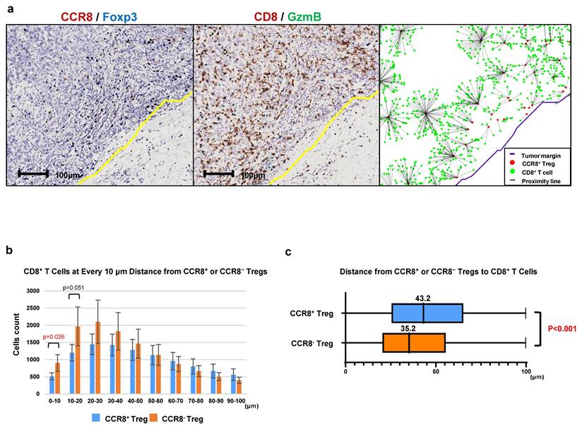 J Cancer Image