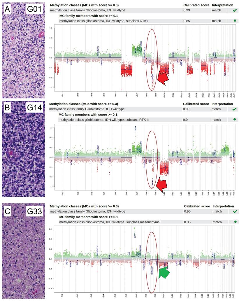 J Cancer Image