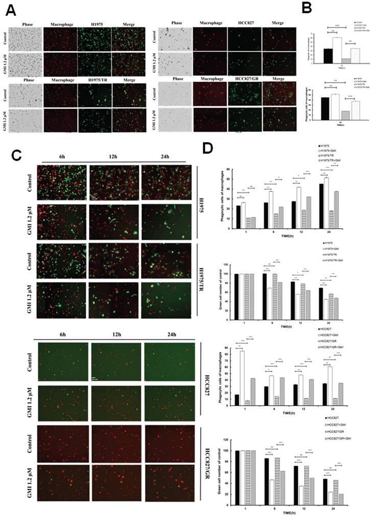 J Cancer Image