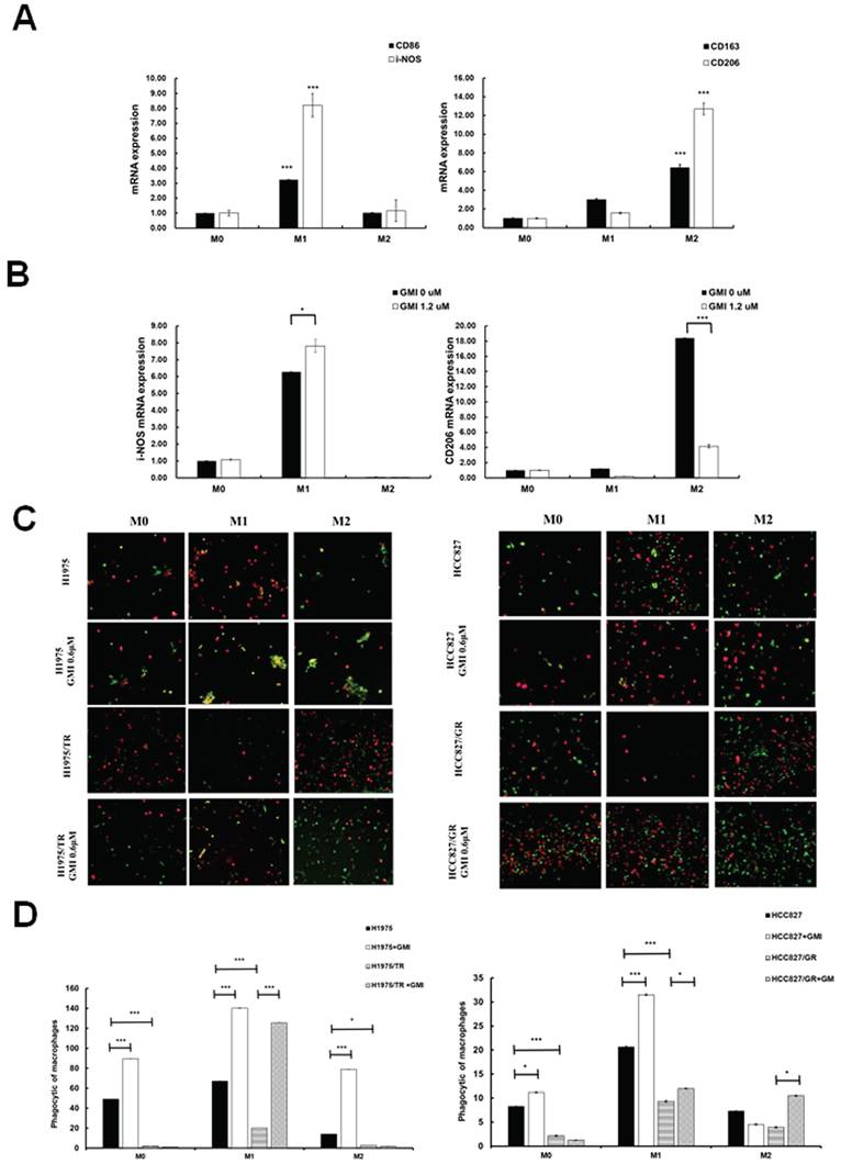J Cancer Image