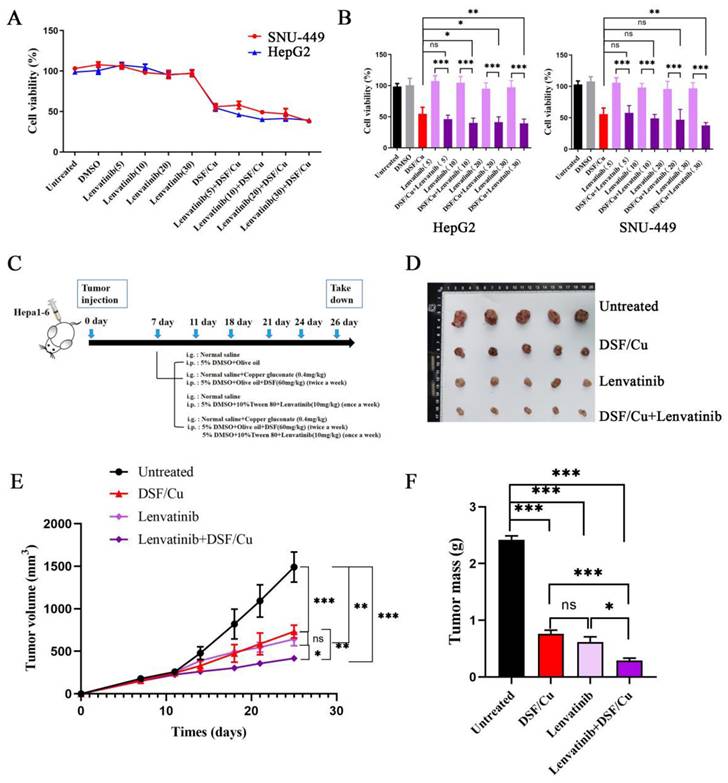 J Cancer Image