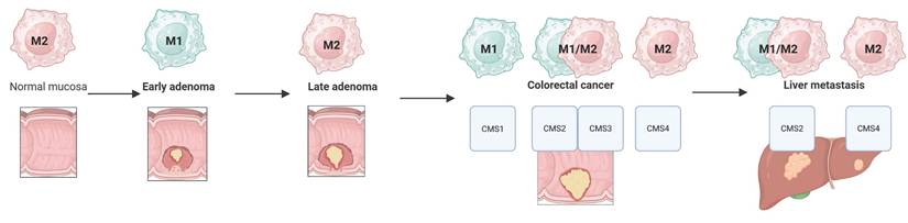 J Cancer Image