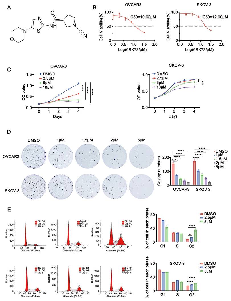 J Cancer Image
