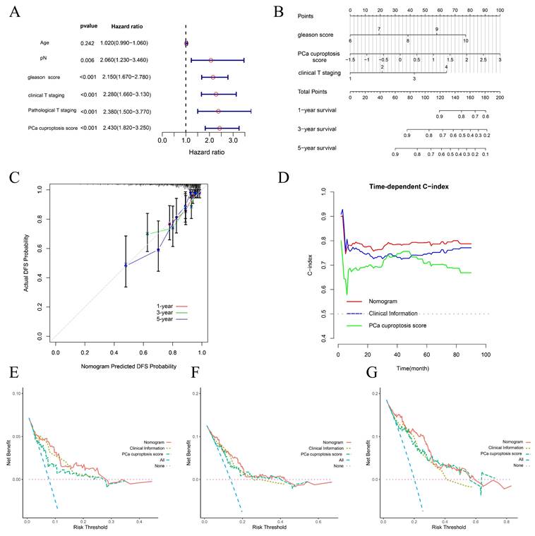 J Cancer Image