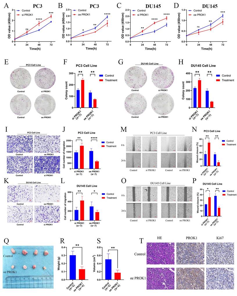 J Cancer Image