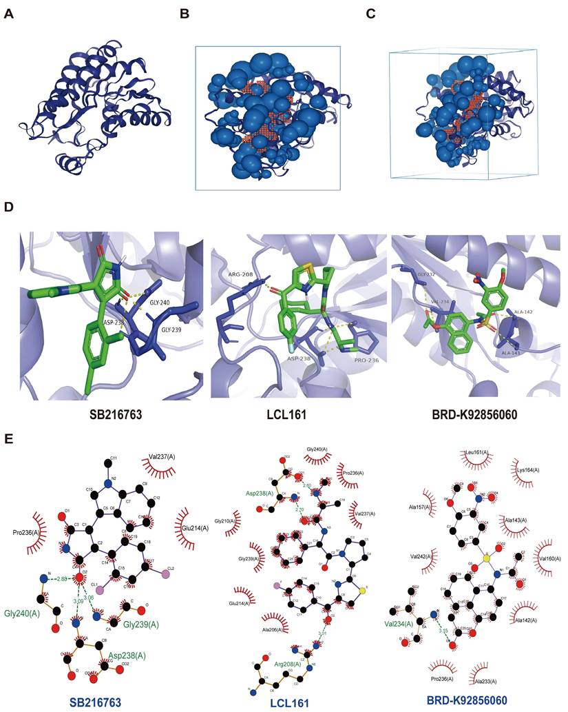 J Cancer Image