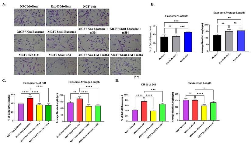 J Cancer Image