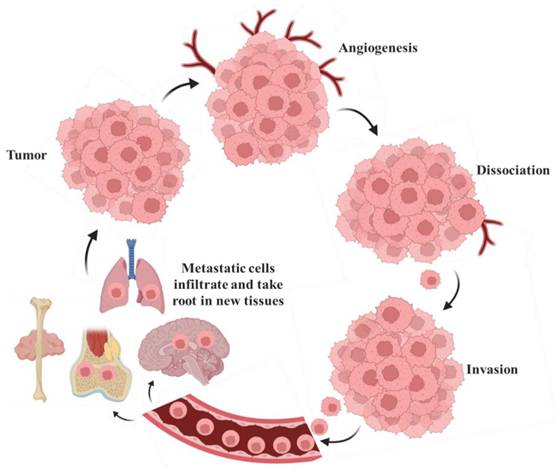 J Cancer Image