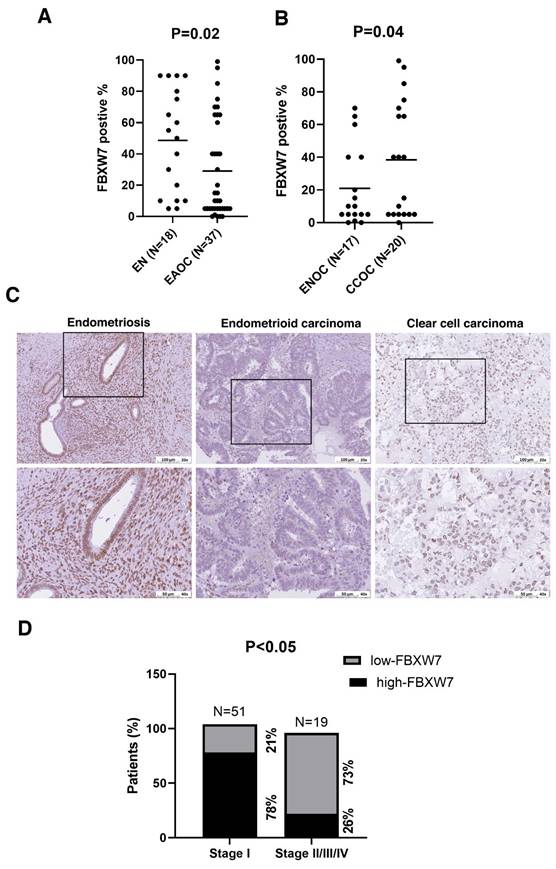 J Cancer Image