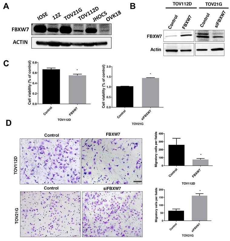 J Cancer Image